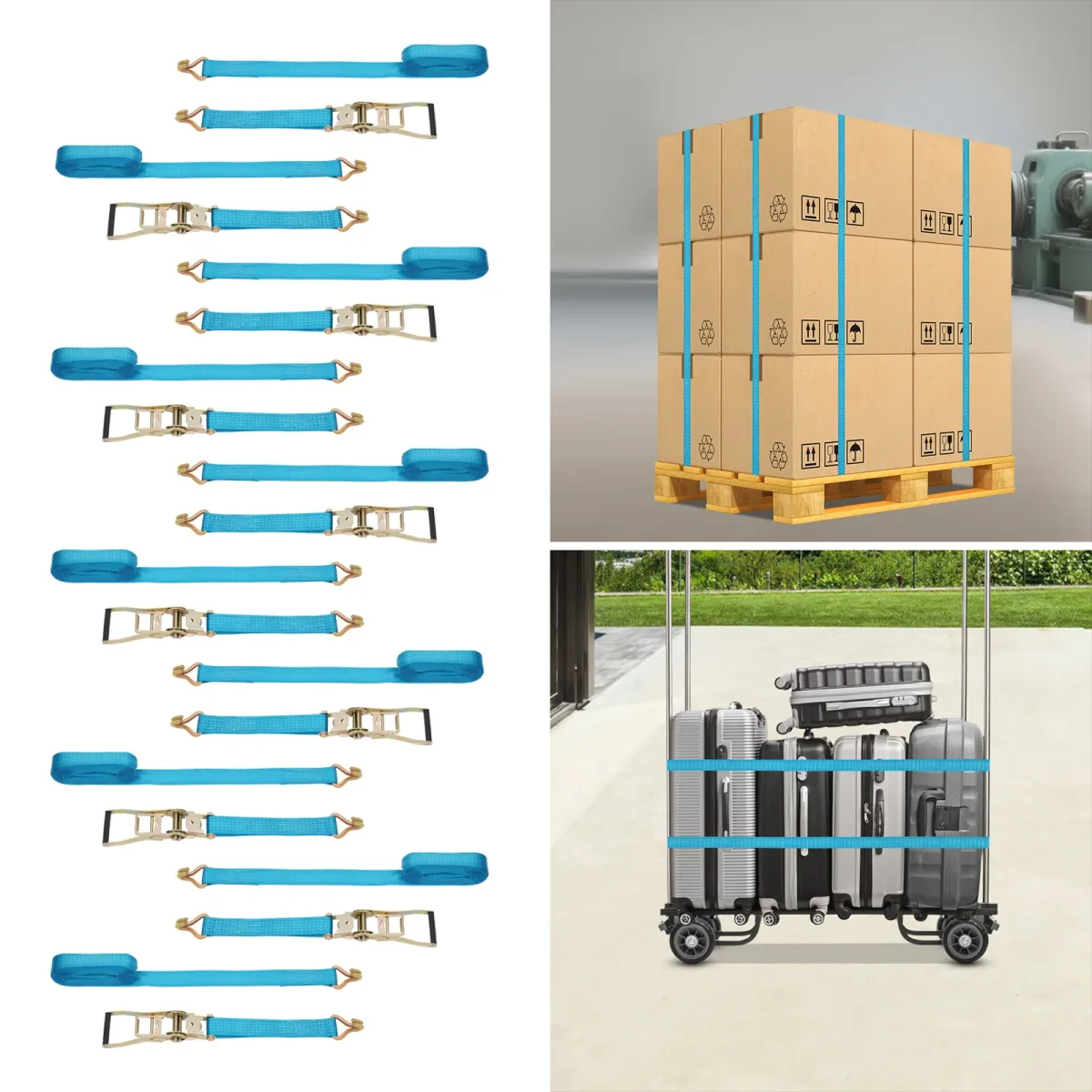 Sangles d'arrimage à cliquet bleues, lot de 10 pièces