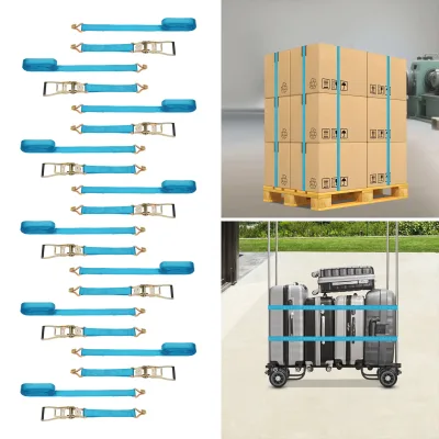 Sangles d'arrimage à cliquet bleues, lot de 10 pièces